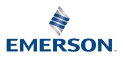 Emerson Process Management (India) Private Limited