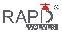 Rappid Valves (India) Limited